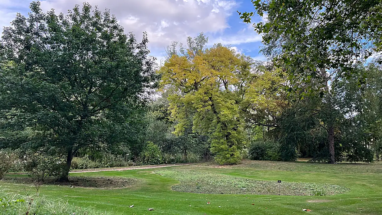 The gardens at Buckingham Palace