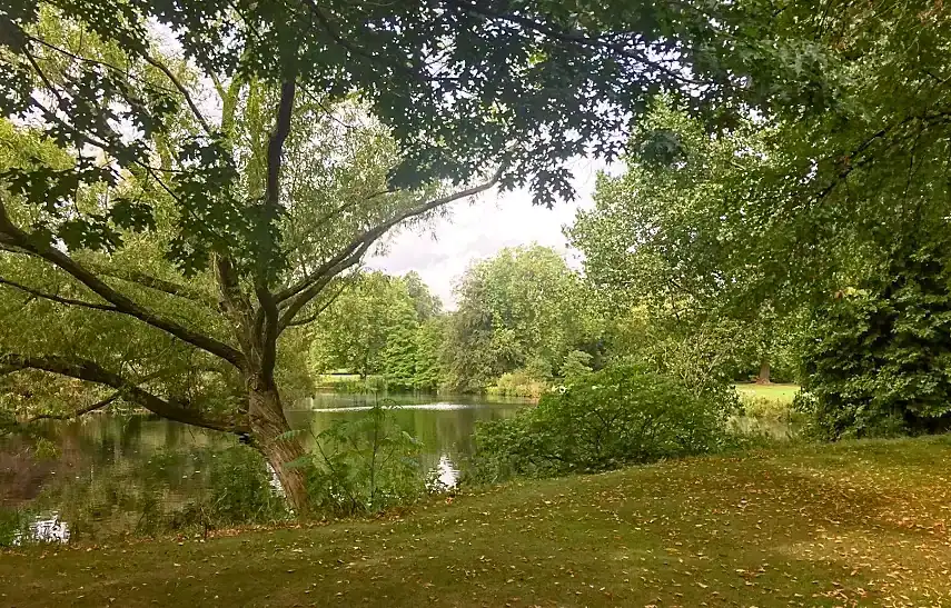 The gardens at Buckingham Palace