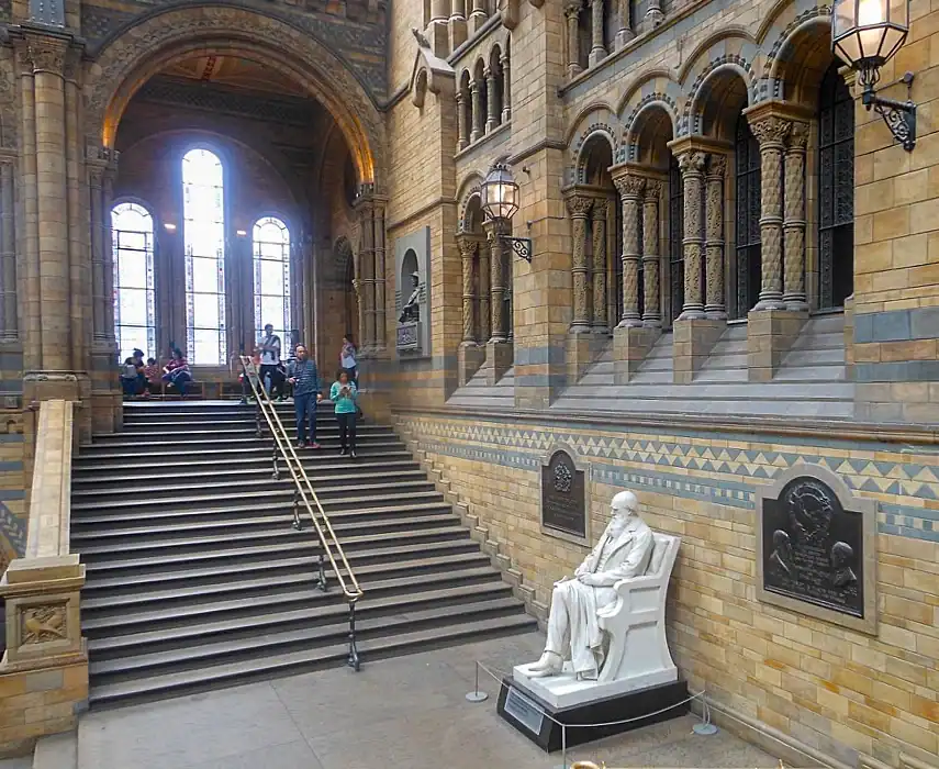 Charles Darwin statue inside Hintze Hall