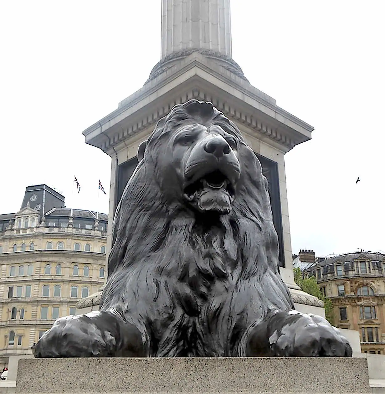 A bronze lion at the base of Nelson’s Column