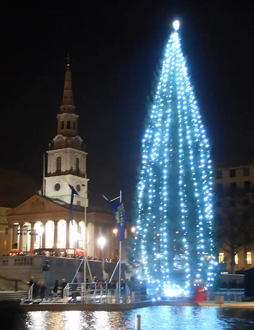 Lights on the Trafalgar Square Christmas tree