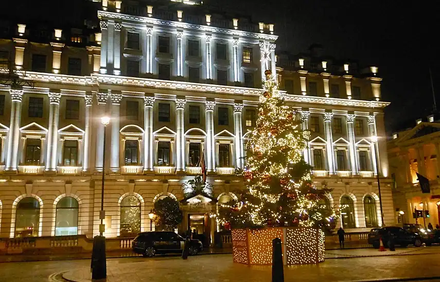 Christmas tree in Waterloo Place