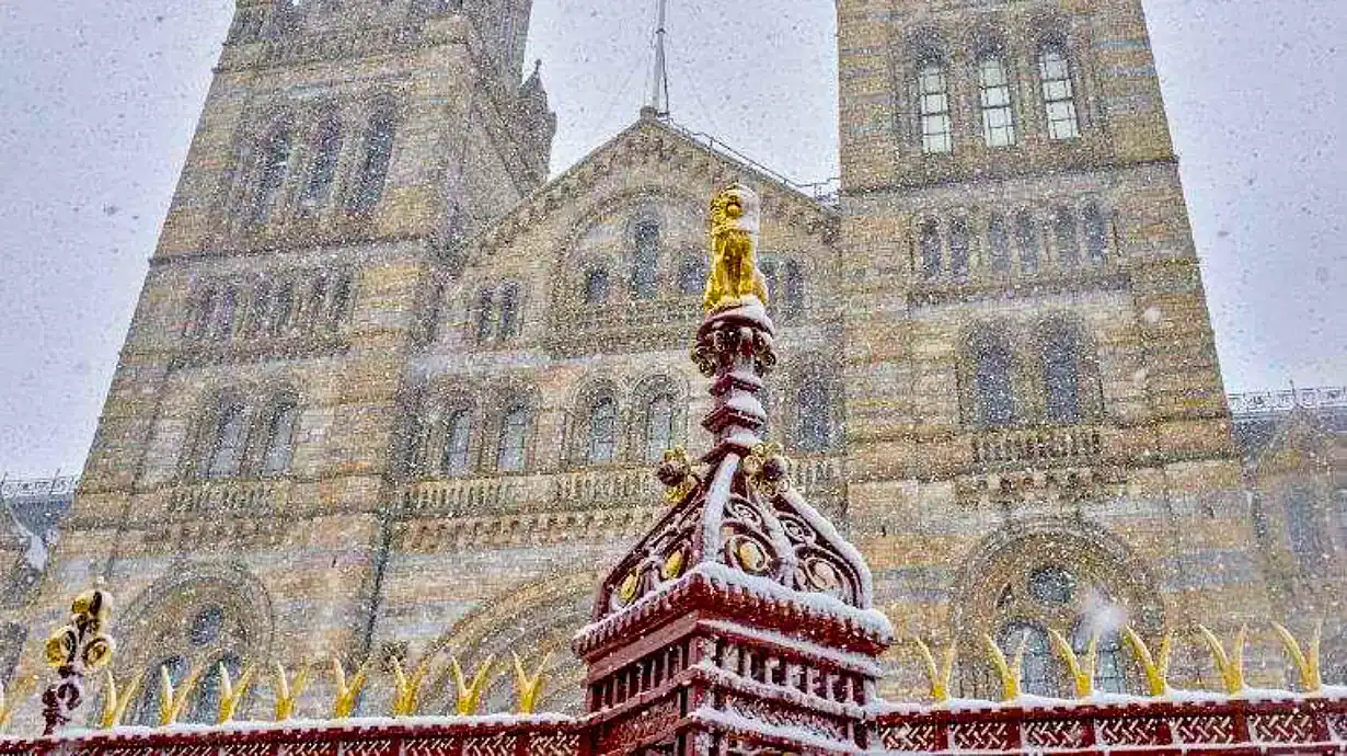 Christmas at the Natural History Museum