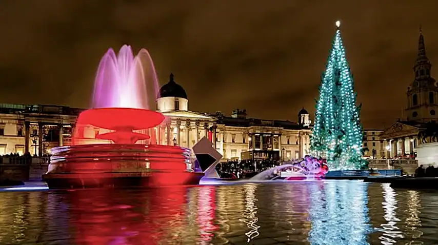 The Christmas tree in Trafalgar Square