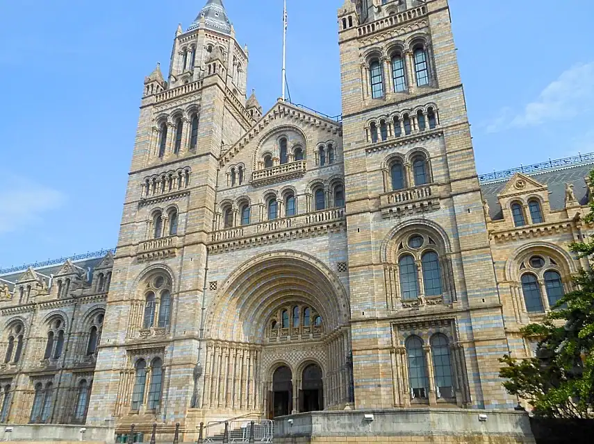 The Natural History Museum