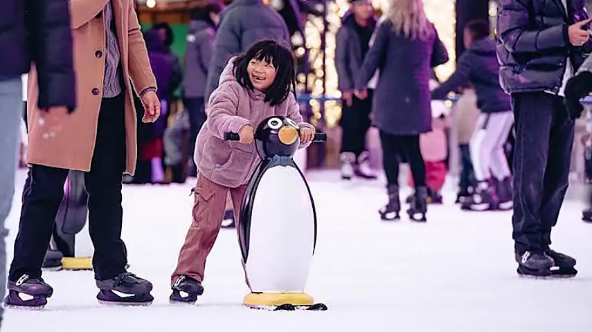 Penguin Skate Aid