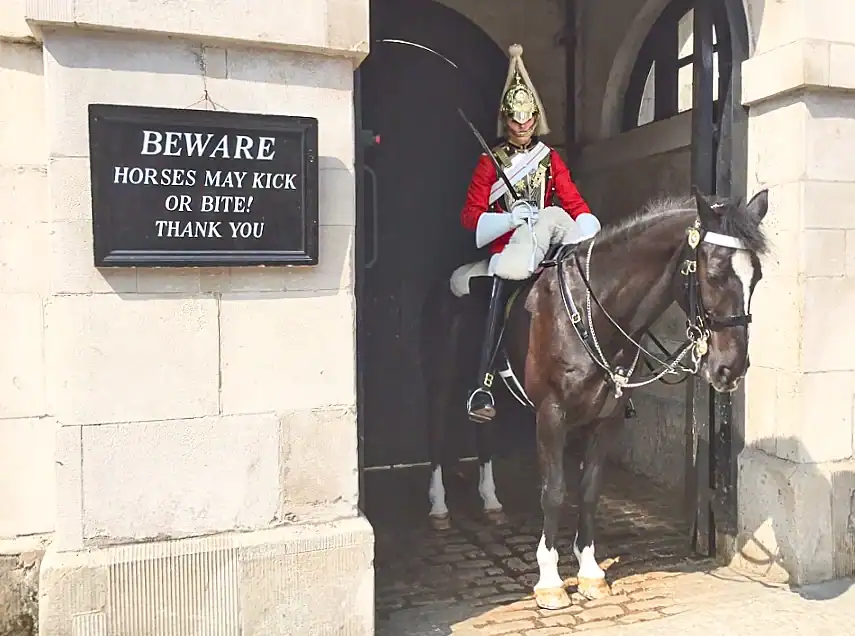 Horse Guards sentry box in Whitehall