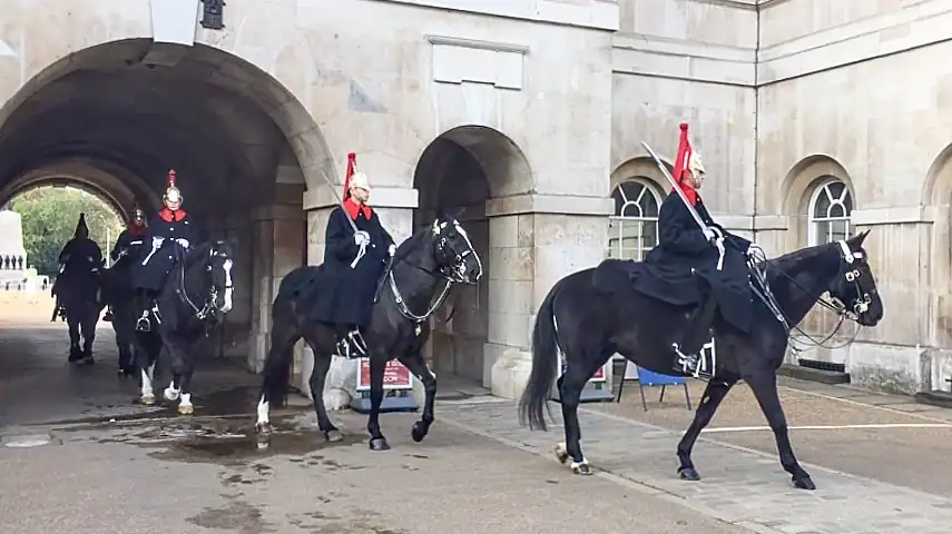 Horses entering the stables in the courtyard