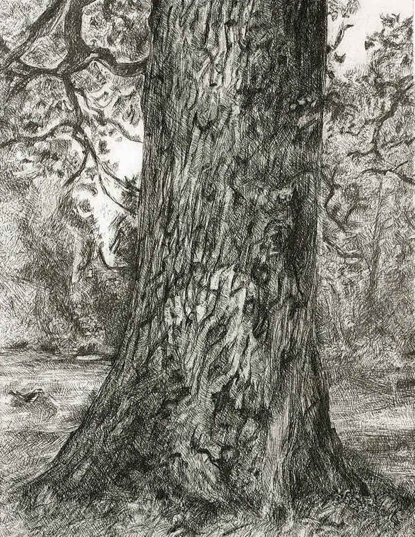 After Constable's Elm by Lucian Freud