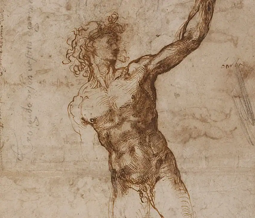 A Male Nude, by Michelangelo