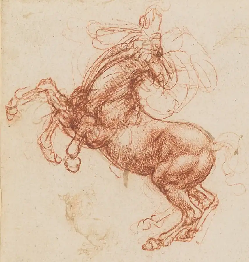 A Rearing Horse, by Leonardo da Vinci