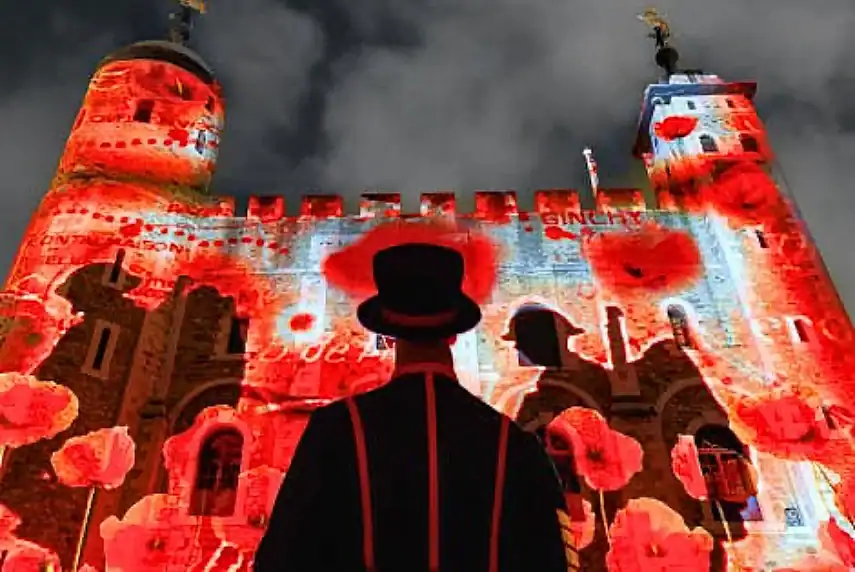 Poppy Fields at the Tower