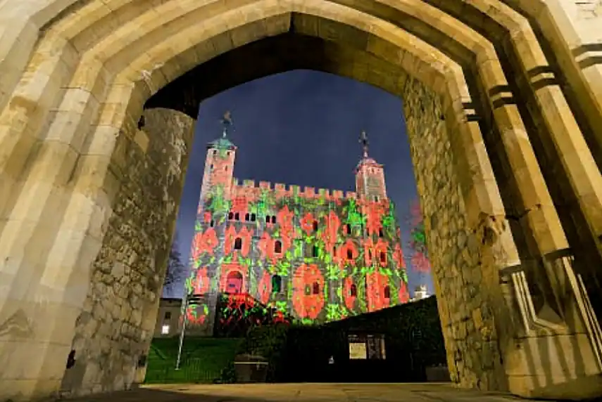 Poppy Fields at the Tower