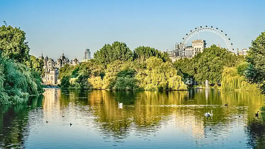View of the London Eye from St. James's Park