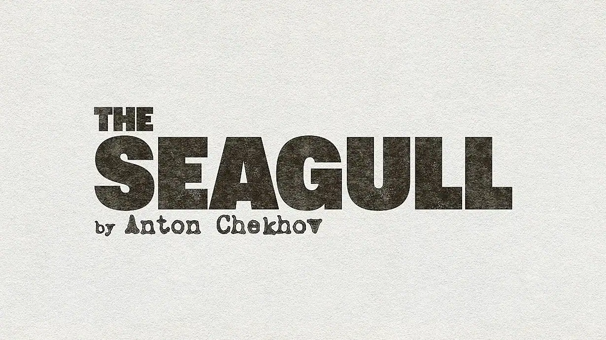 The Seagull