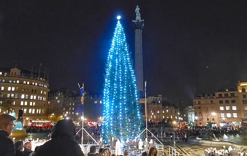 Christmas tree in Trafalgar Square