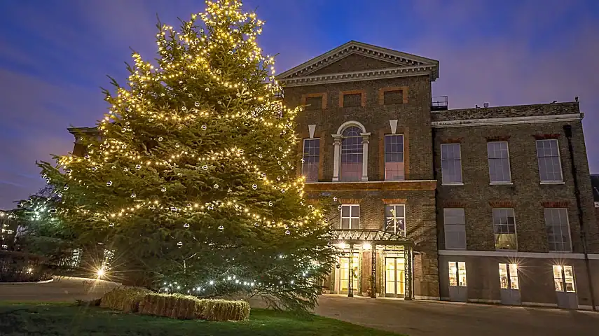 Christmas tree outside Kensington Palace