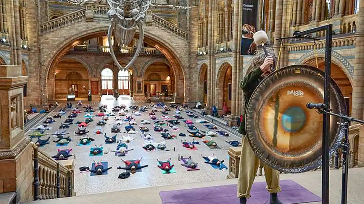 Yoga at the Natural History Museum